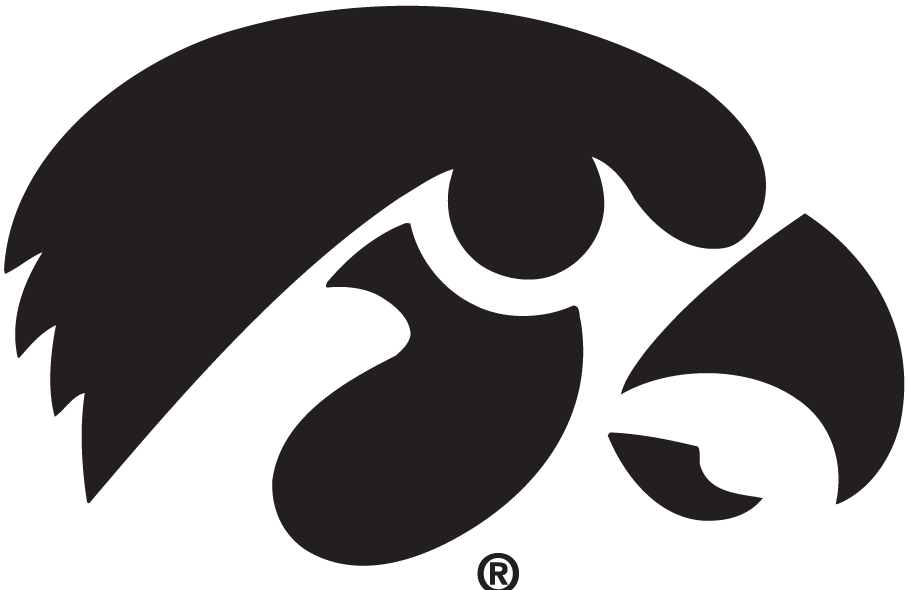 Iowa Hawkeyes 1979-Pres Alternate Logo DTF decal stickers